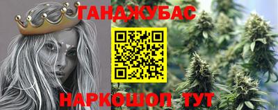 сатива Обнинск