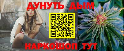 сатива Обнинск