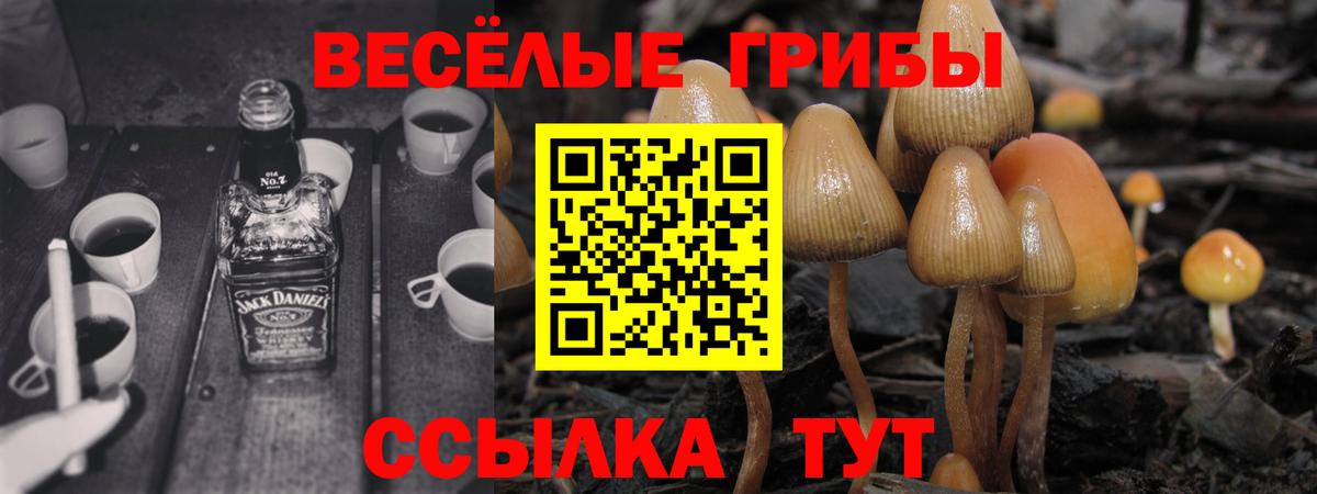 Псилоцибиновые грибы MAGIC MUSHROOMS  Вход с VPN  Псилоцибиновые грибы Cubensis  Балашиха 